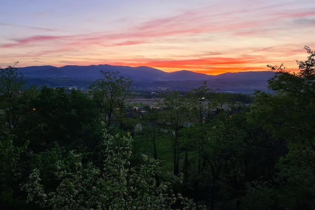 Gite De 70M² Avec Vue Sur Le Massif Du Pilat Clonas-sur-Vareze エクステリア 写真