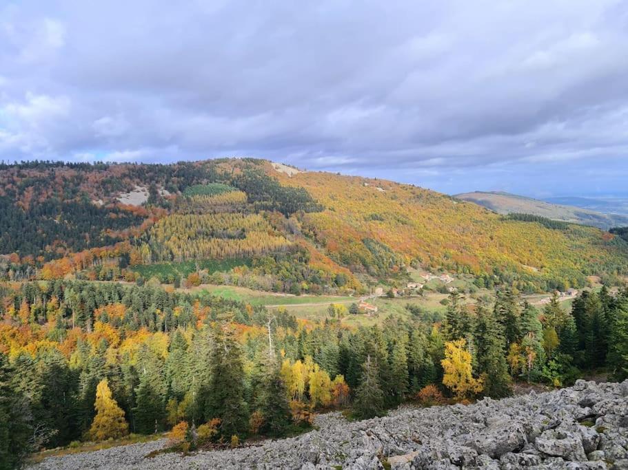 Gite De 70M² Avec Vue Sur Le Massif Du Pilat Clonas-sur-Vareze エクステリア 写真