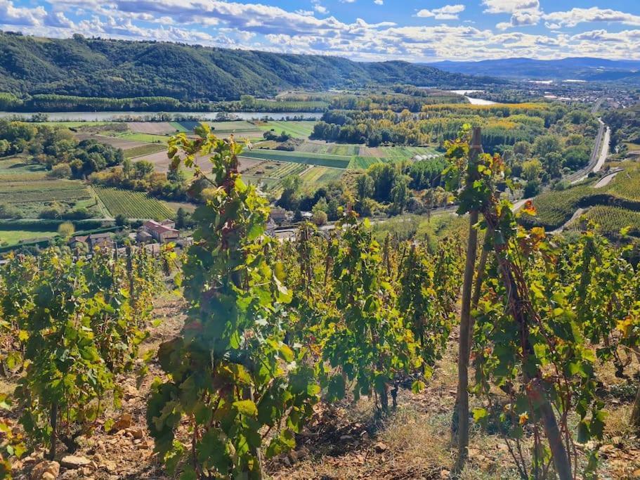 Gite De 70M² Avec Vue Sur Le Massif Du Pilat Clonas-sur-Vareze エクステリア 写真