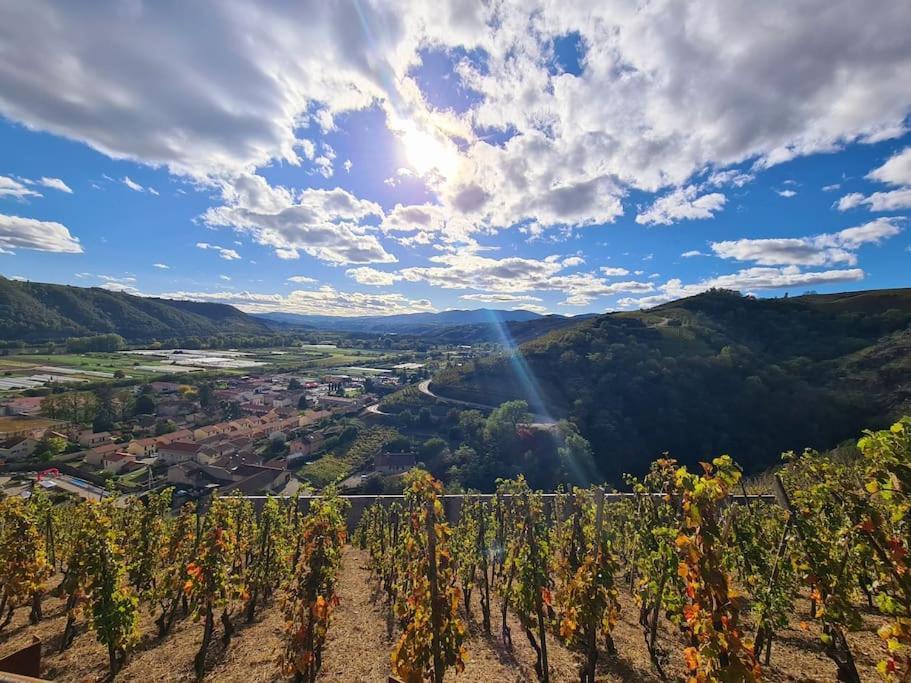 Gite De 70M² Avec Vue Sur Le Massif Du Pilat Clonas-sur-Vareze エクステリア 写真