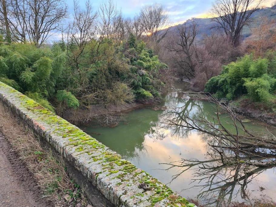 Gite De 70M² Avec Vue Sur Le Massif Du Pilat Clonas-sur-Vareze エクステリア 写真