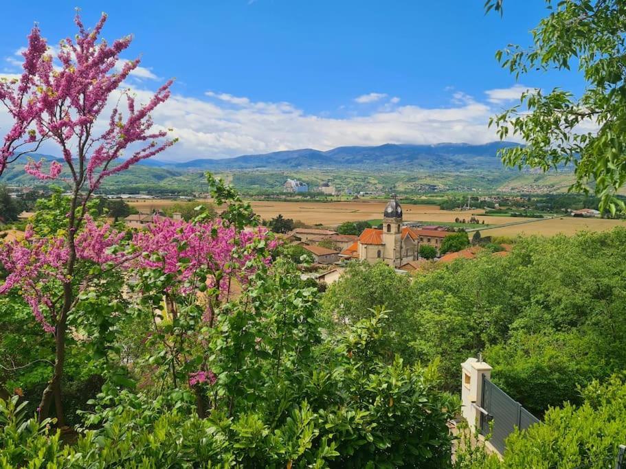 Gite De 70M² Avec Vue Sur Le Massif Du Pilat Clonas-sur-Vareze エクステリア 写真